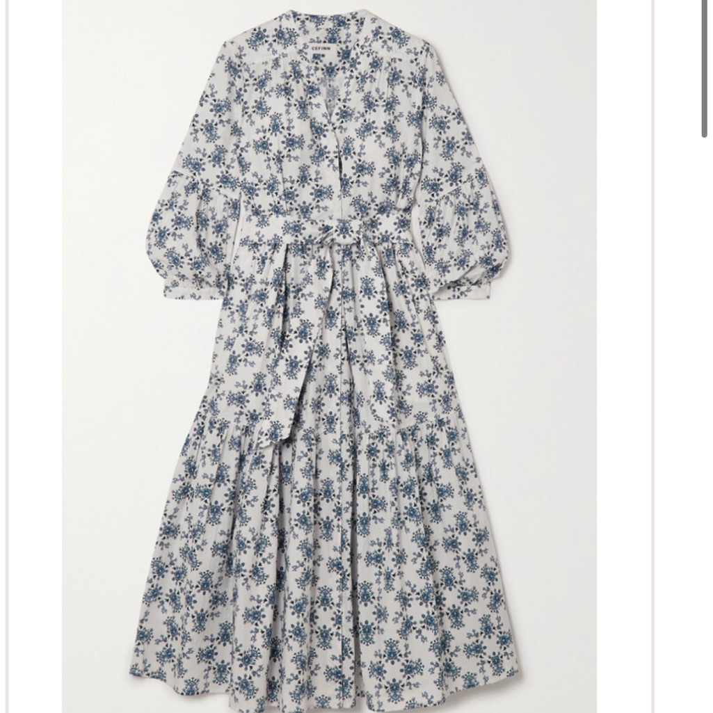 Cefinn Floral Blue And White Women's Dress 4 Aso Julia Berolzheimer